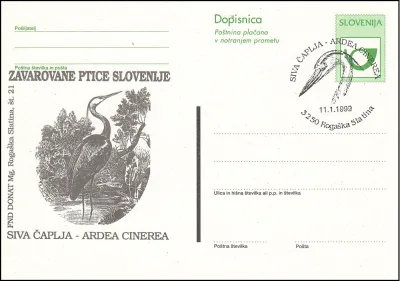 SIVA ČAPLJA - ARDEA CINEREA